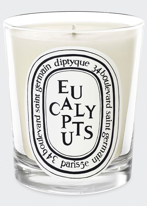 6.7 oz. Bougie Eucalyptus Scented Candle