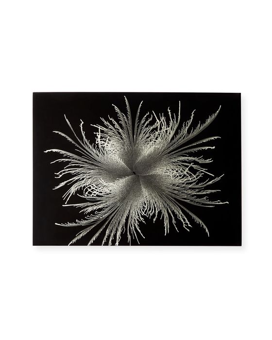 Feather Lacquer Placemat, Silver