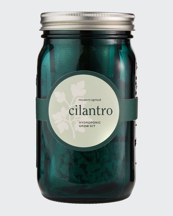 Garden Jar - Cilantro