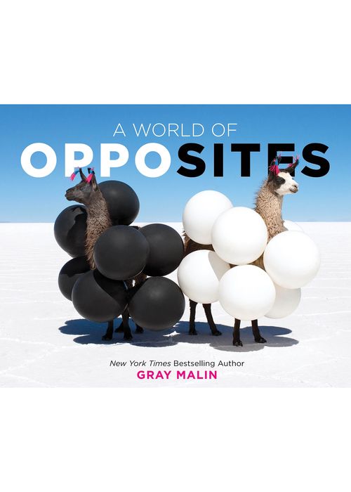 "A World of Opposites" Book by Gray Malin