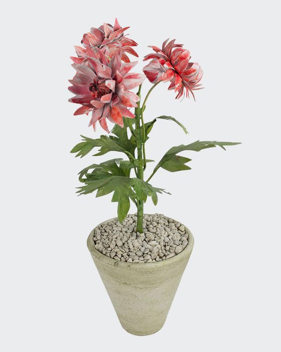 Crysanthemum November Birth Flower in White Terracotta Pot