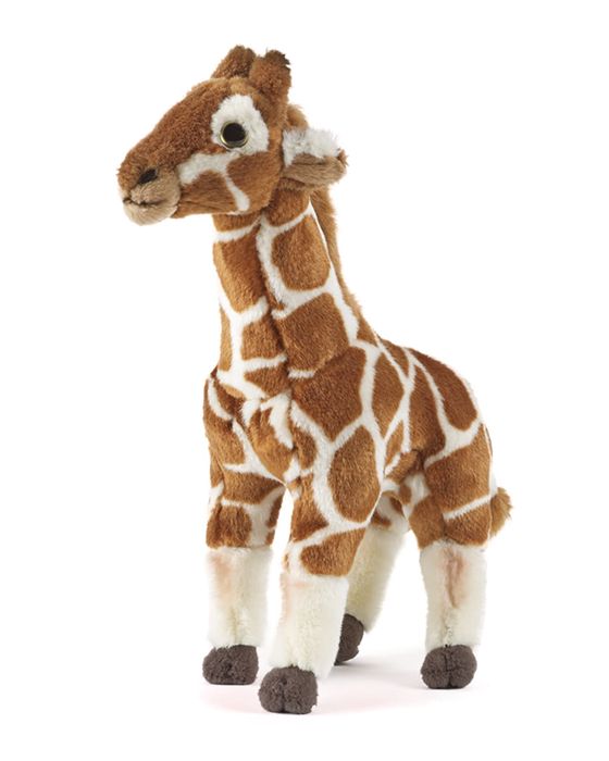 Giraffe Medium Plush Toy