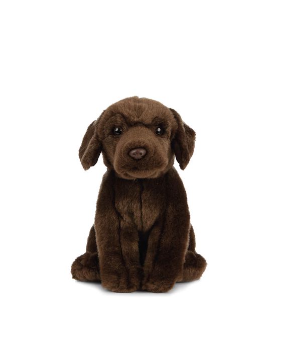 Chocolate Labrador Plush Toy