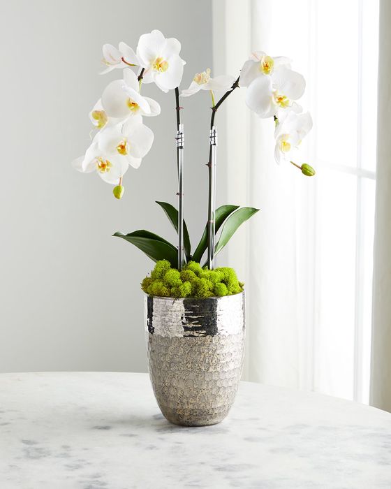 Double Orchid in Vintage Beehive Container