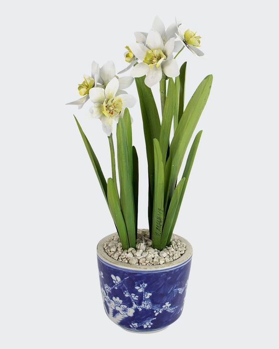 Narcissus December Birth Flower in Blue/White Ceramic Pot