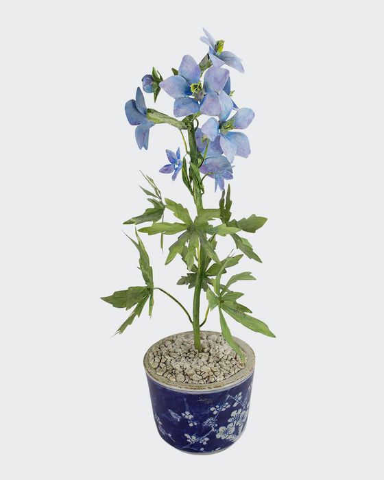 Delphinium July Birth Flower in Ceramic Pot