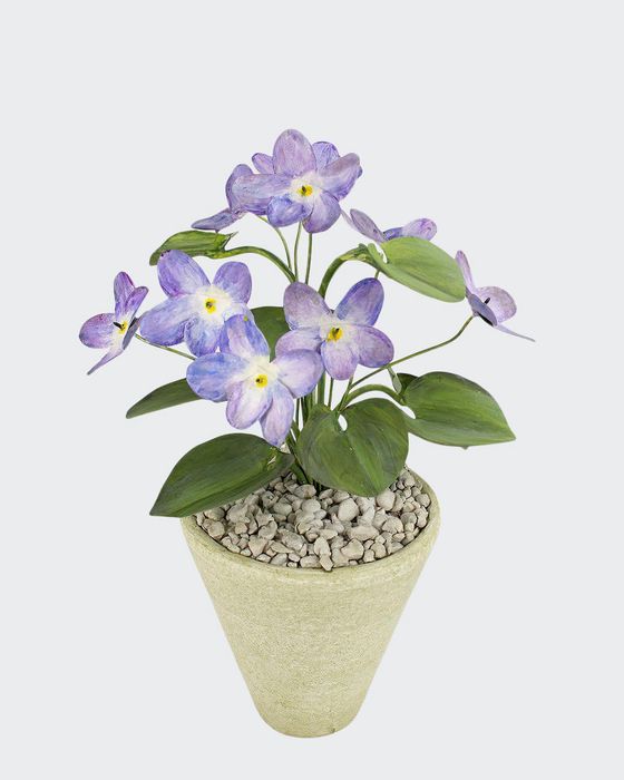 Violet February Birth Flower in White Terracotta Pot