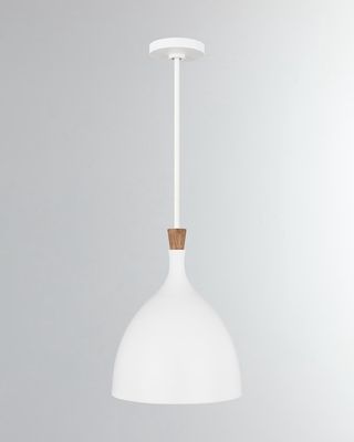 1- Light Medium Pendant Darwin By Ellen Degeneres