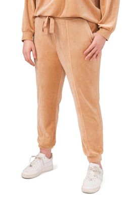 1.STATE Velour Joggers in Brown