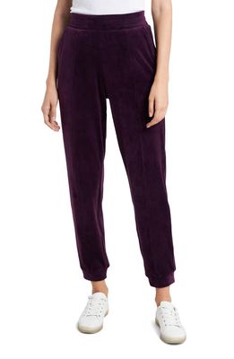 1.STATE Velour Pants in Deep Plum