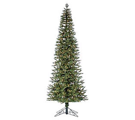 12-Ft H Pre-Lit Natural Cut Narrow Jackson Pine by Sterling Co