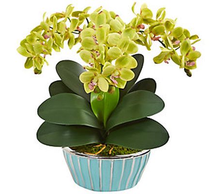 14" Phalaenopsis Orchid in Turquoise Vase by Ne arly Natural