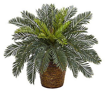 15in.  Cycas Artificial Plant in Basket
