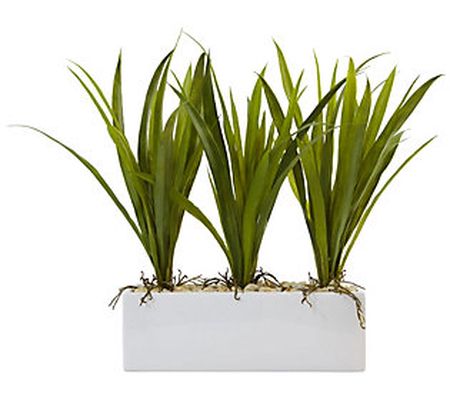 16" Grass in Rectangular Planter by Nearly Natu ral
