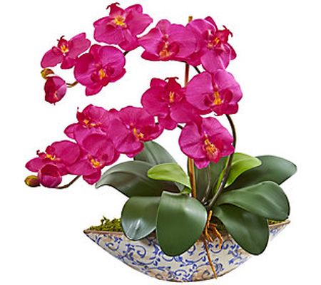 16" Phalaenopsis Orchid in Vase by Nearly Natur al