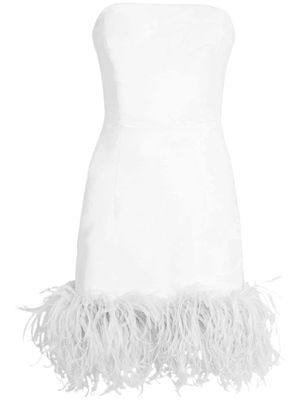16Arlington Minelli feather-trim minidress - White