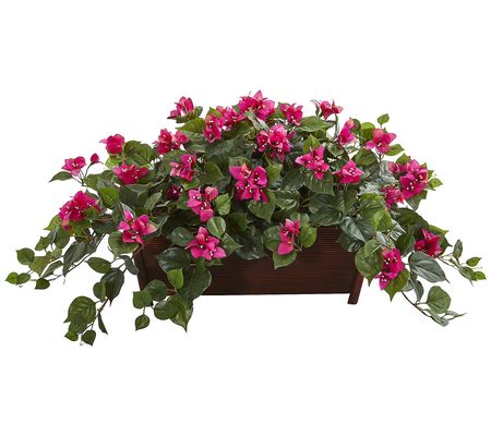 18" Bougainvillea Plant in Planter by Nearly Na tural