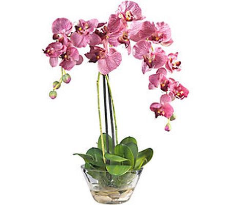 18" Phalaenopsis in Glass Vase by Nearly Natura l