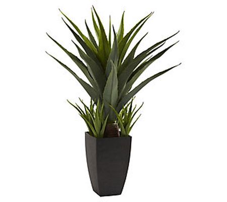 2-1/2' Agave w/Black Planter by Nearly Natural