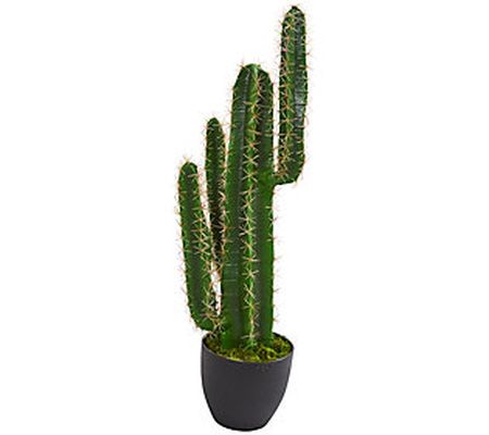 2.5' Cactus Artificial Plant by Nearly Natural