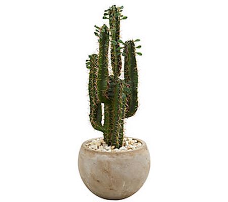 2.5' Cactus Artificial Plant in Planter by Near ly Natural
