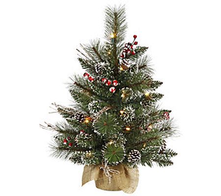 2' Snow-Tipped Pine Berry Tree with Clear Light s by Vickerman