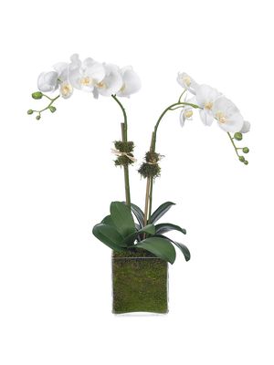 2-Stem Faux Phalaenopsis Orchids - White - White