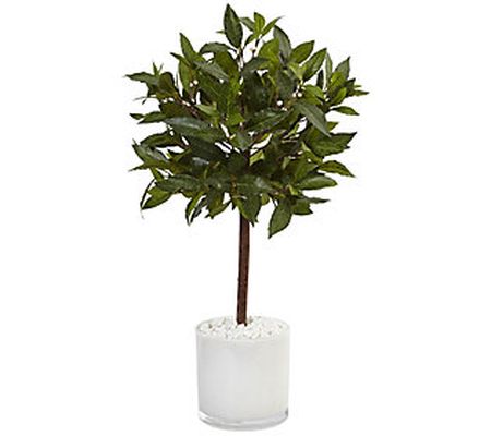 2' Sweet Bay Tree in Glossy Cylinder Planter by Nearly Natural