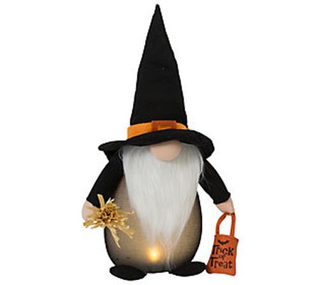 20.08" Lighted Plush Halloween Witch Gnome by G erson Co