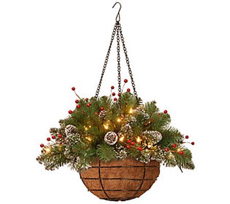 20" Glittery Spruce Hanging Basket with White L ED Lights