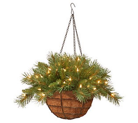 20" Tiffany Fir Hanging Basket w/ Batt Op White LED Lights