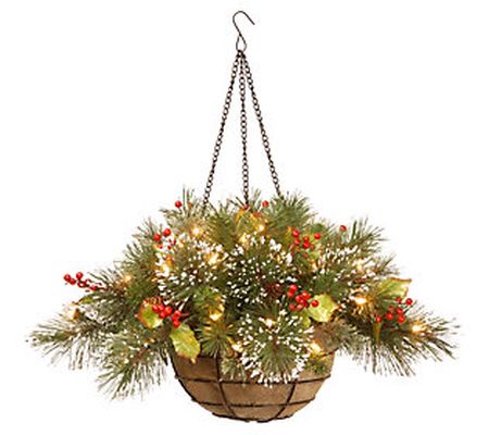 20" Wintry Pine Hanging Basket w/ Batt Op White LED Lights