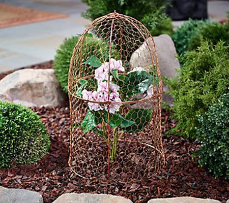 22.4" Tall 2-Piece Wire Cloche with Stakes by Linda Vater