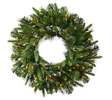 24" Cashmere Wreath LED by Vickerman