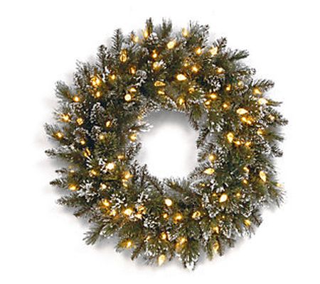 24" Glittery Bristle Pine Wreath with Warm Whit e LED Lights
