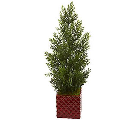 25" Mini Cedar Pine Tree in Red Planter by Near ly Natural