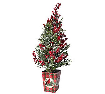 26" Frost  Berry Mini Spruce Tree In Pot  by Va lerie