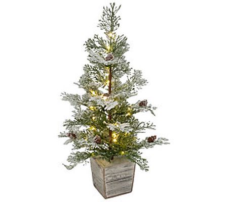 26-in Pine Tree in Wooden Box w Lights & Timer by Gerson Co