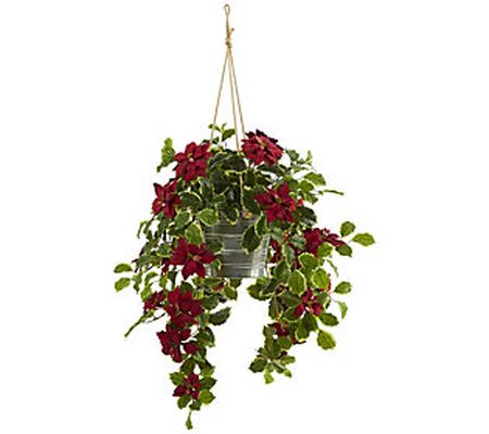 3.5' Poinsettia and Variegated Holly in Hanging Bucket