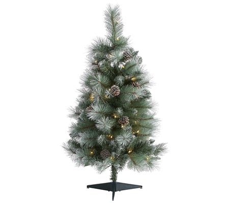 3' Lit Frosted Mountain Pine Christmas Tree byearly Natural