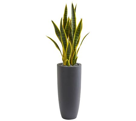 3' Sansevieria Artificial Plant in Gray Bullet lanter