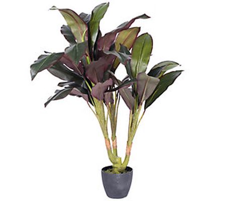 30" Real Touch Dracaena Succulent by Vickerman