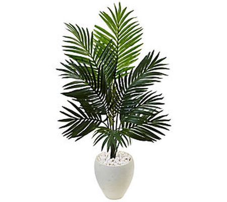 4.5' Kentia Palm Tree in White Planter by Nearl y Natural
