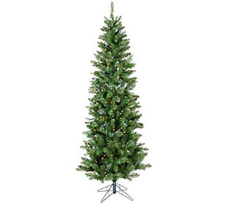4.5' Salem Pencil Pine Tree with Multicolor LED s by Vickerman