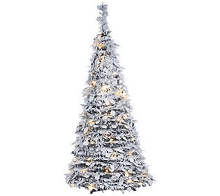 4-Foot High Pop-Up Pre-Lit Flocked Pine Tree by Gerson Co.