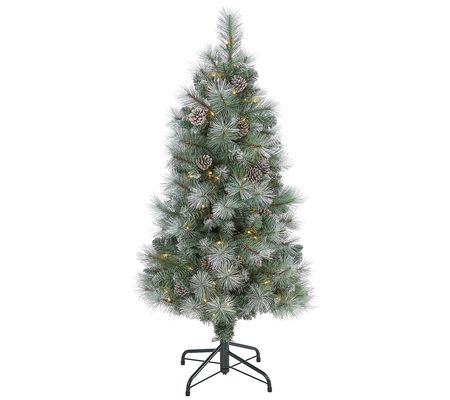 4' Lit Frosted Mountain Pine Christmas Tree by arly Natural