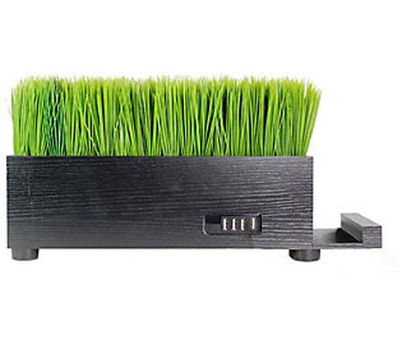 4-Port USB Power Plant Charging Station - Baby Grass