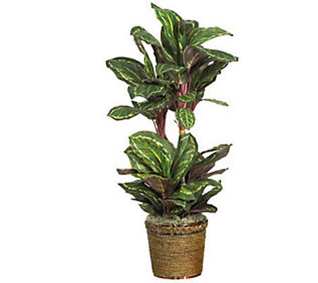 45" Maranta Plant by Nearly Natural