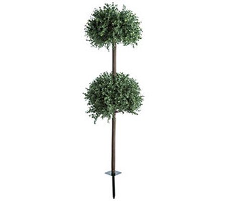 48" Boxwood Double Ball Topiary by Plow & Heart h