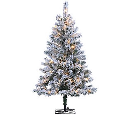 4Ft Flocked Colorado Spruce with 100 Lights by Gerson Co.